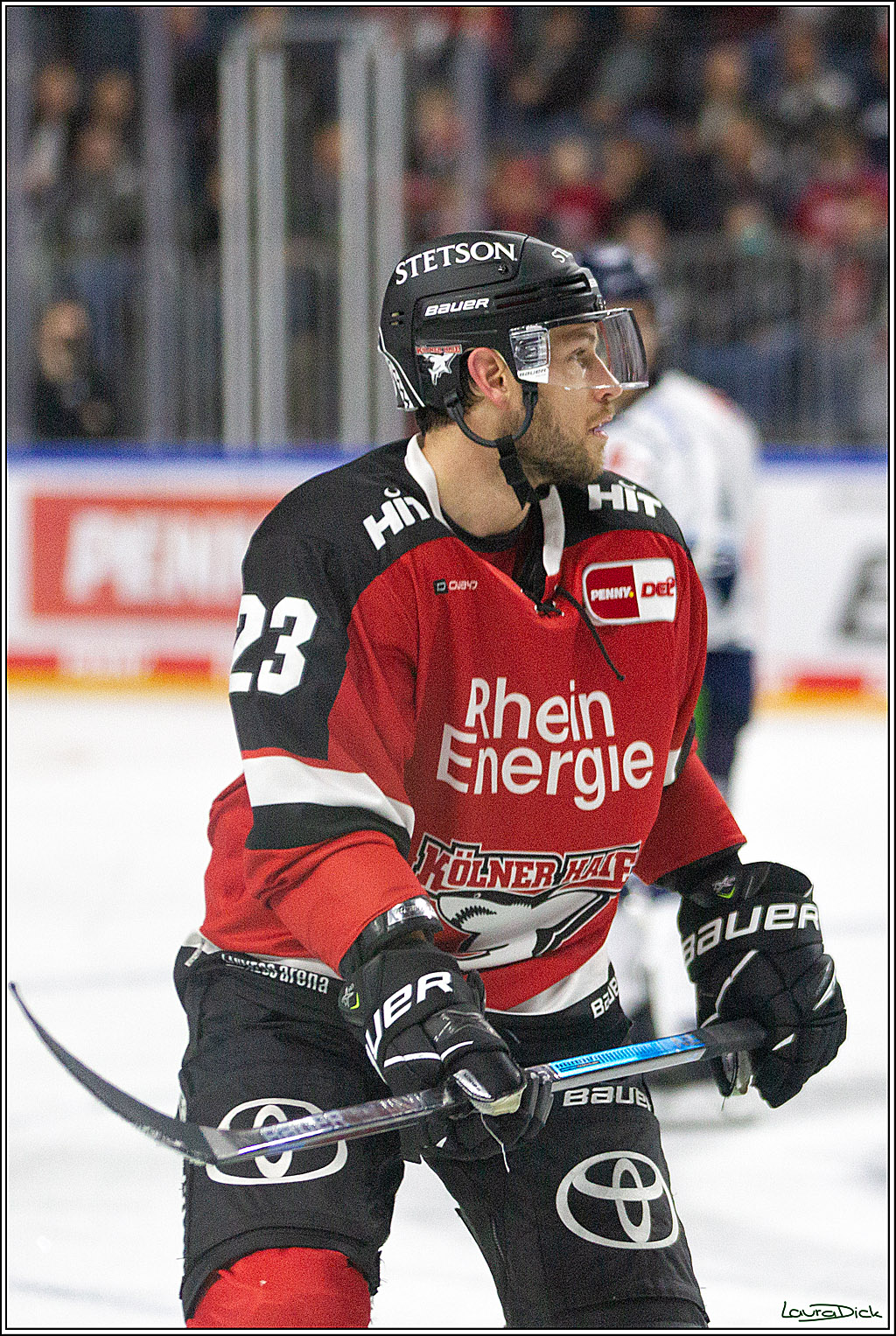 PENNY DEL;  Koelner Haie - Straubing Tigers; Koeln, 15.10.2021